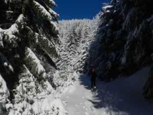 Wycieczka skiturowa  (14) 