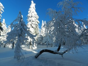 Wycieczka skiturowa  (22)   