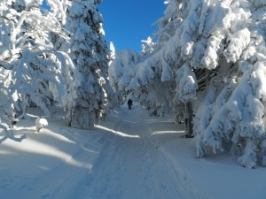 Wycieczka skiturowa  (23)   